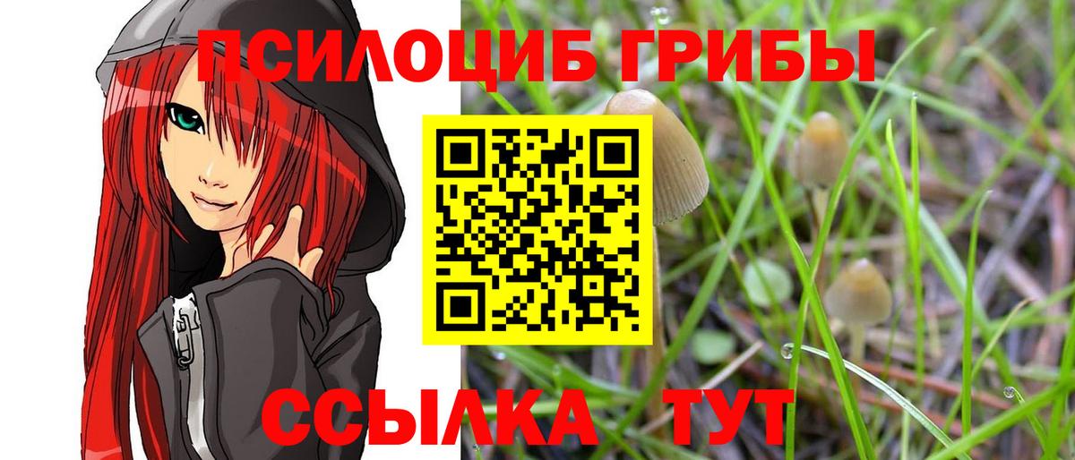 Галлюциногенные грибы MAGIC MUSHROOMS Вологда